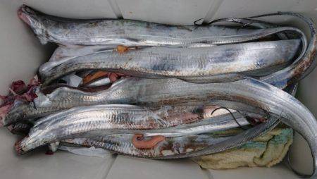 オーフリー 釣果