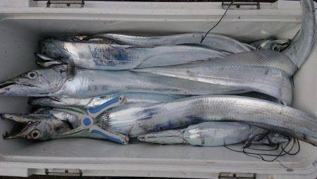 オーフリー 釣果