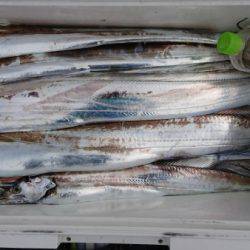 オーフリー 釣果