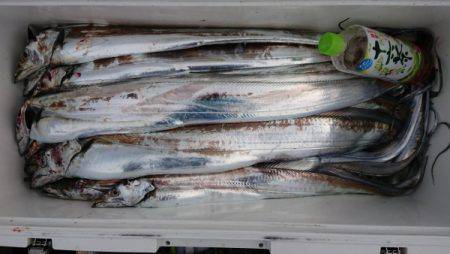 オーフリー 釣果