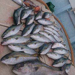 旭星釣りセンター 釣果