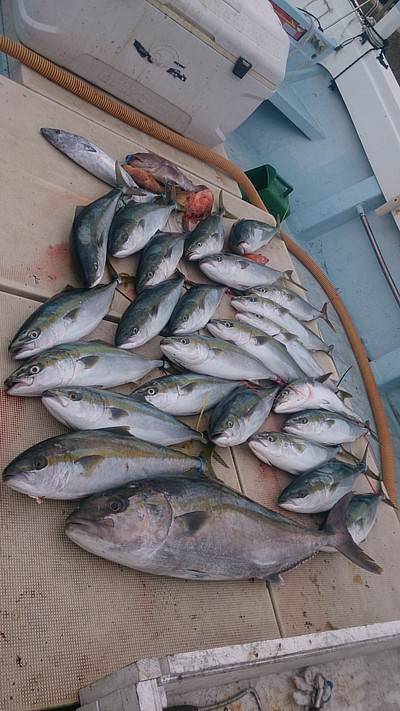 旭星釣りセンター 釣果