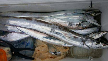 オーフリー 釣果