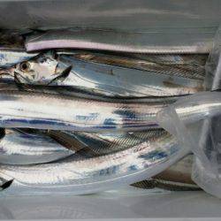 オーフリー 釣果