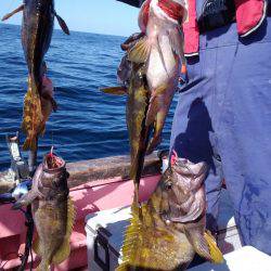 第八平成丸 釣果