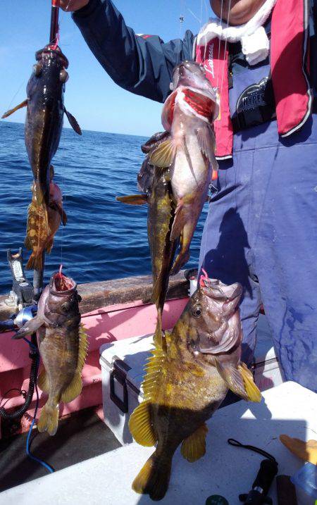 第八平成丸 釣果