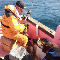 第八平成丸 釣果