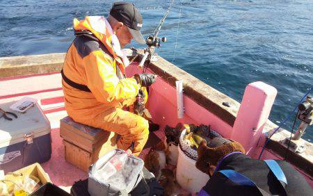 第八平成丸 釣果