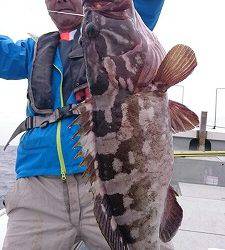 海龍丸(福岡) 釣果