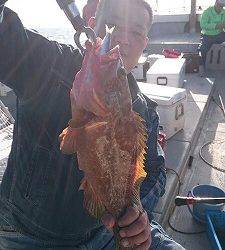 海龍丸(福岡) 釣果