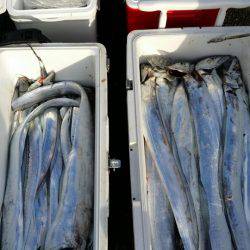 オーフリー 釣果