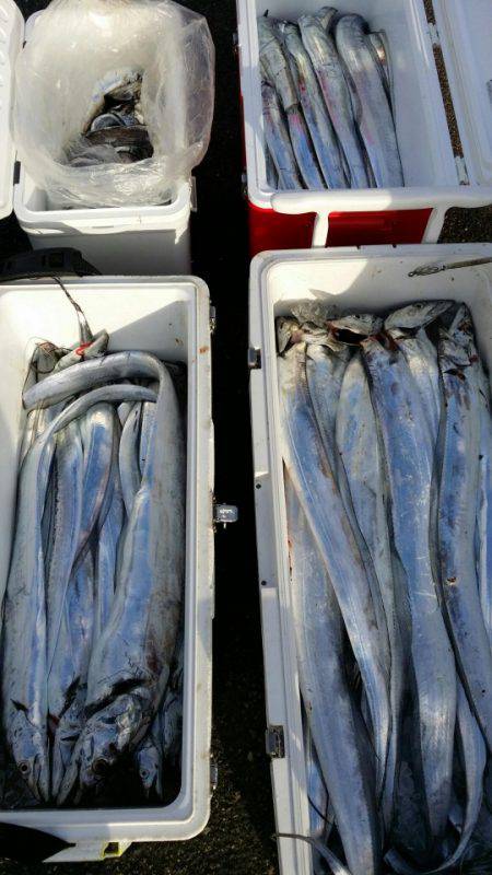 オーフリー 釣果