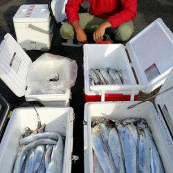 オーフリー 釣果