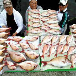 横内丸 釣果