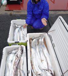 秀丸 釣果