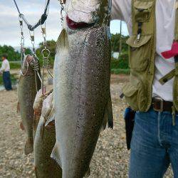 みどりフィッシングエリア 釣果