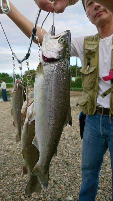 みどりフィッシングエリア 釣果