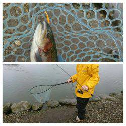 みどりフィッシングエリア 釣果