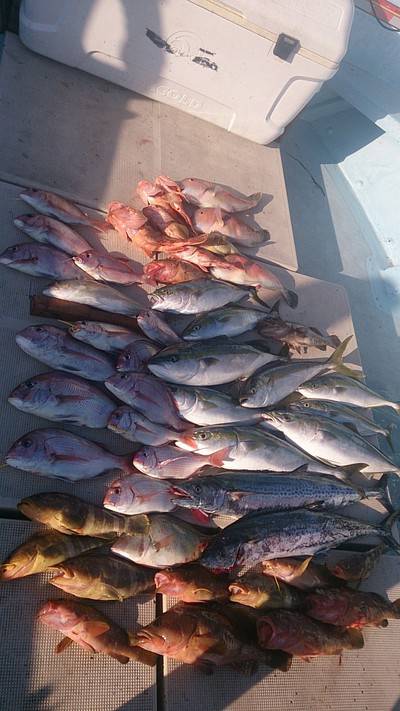 旭星釣りセンター 釣果