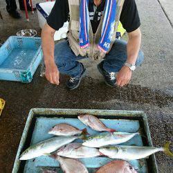 明神釣船 釣果