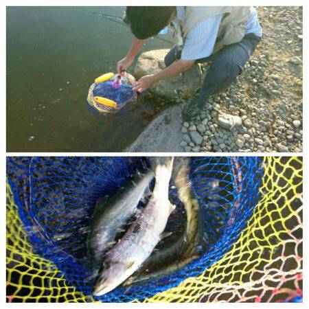 みどりフィッシングエリア 釣果