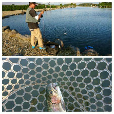 みどりフィッシングエリア 釣果