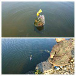 みどりフィッシングエリア 釣果