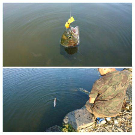 みどりフィッシングエリア 釣果