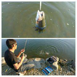 みどりフィッシングエリア 釣果