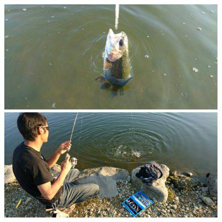 みどりフィッシングエリア 釣果