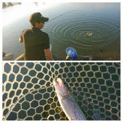 みどりフィッシングエリア 釣果