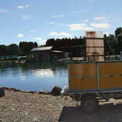 みどりフィッシングエリア 釣果