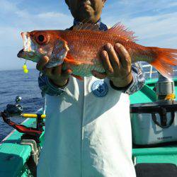 モンロー号 釣果