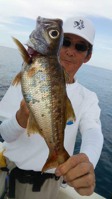 海運丸 釣果