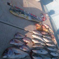 旭星釣りセンター 釣果