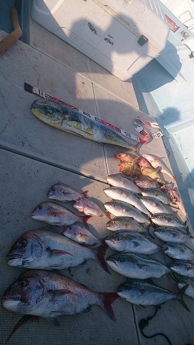 旭星釣りセンター 釣果