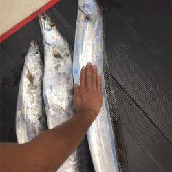 マタウマリンサービス 釣果