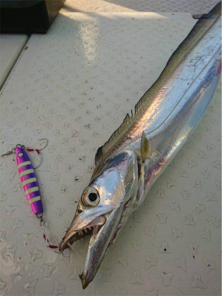 マタウマリンサービス 釣果