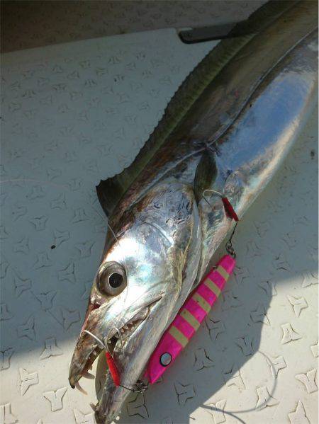 マタウマリンサービス 釣果