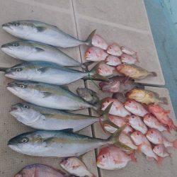 旭星釣りセンター 釣果