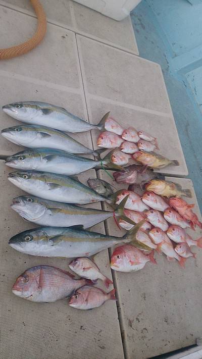 旭星釣りセンター 釣果