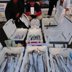 オーフリー 釣果