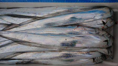 オーフリー 釣果