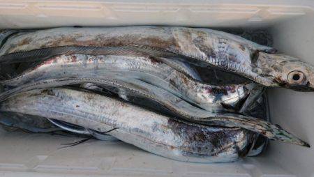 オーフリー 釣果