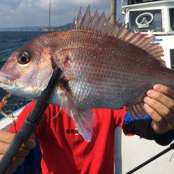 長栄丸(千葉) 釣果