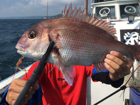 長栄丸(千葉) 釣果