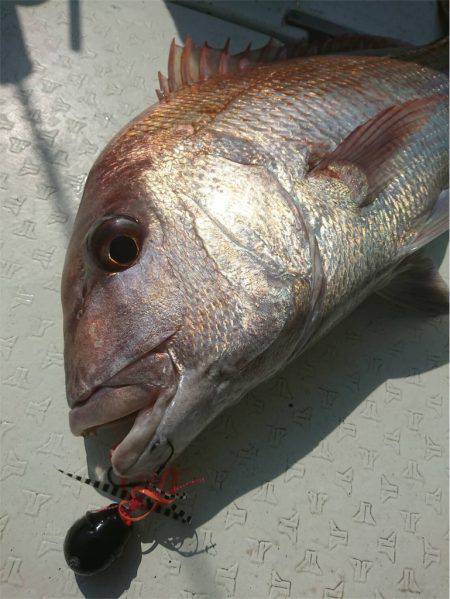 マタウマリンサービス 釣果