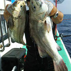 モンロー号 釣果