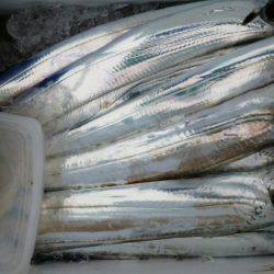 オーフリー 釣果