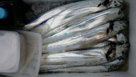 オーフリー 釣果